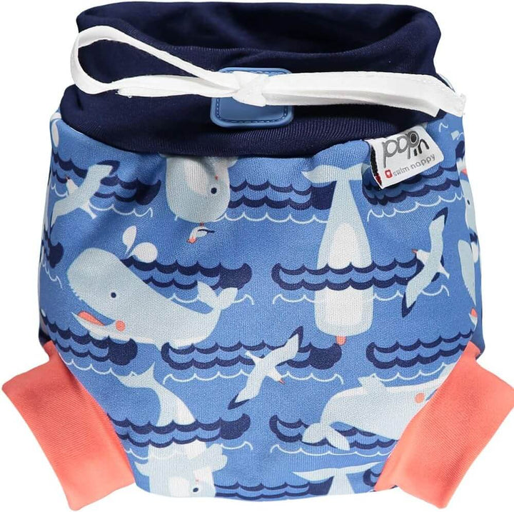 Swim Fiffy